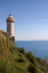 Fototapeta na wymiar view of the lighthouse on the Elba island