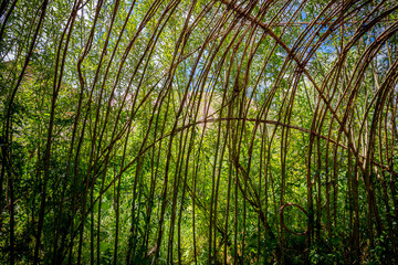 Festival des jardins de la Saline Royale d'Arc-et-Senans