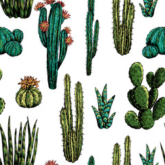 Cacti and succulents hand drawn vector seamless pattern. Graphic ink sketches of different desert plants. Vintage colored botanical background. Design for wallpaper, wrap, textile, fabric, card, print