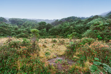 Fototapeta na wymiar Landscape in Poas Volcano National Park, Costa Rica