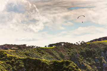 Fototapeta na wymiar Paraglider over hills of Bay of Islands, New Zealand