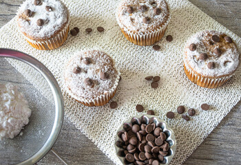 Muffin com gotas de chocolate  Chocolate chip muffin