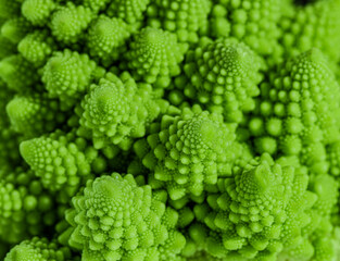 Romanesco Brokkoli