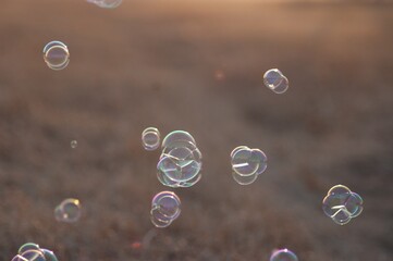 Closeup shot of soap bubbles in the air with a blurred background