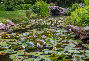 Beautiful view of the lilypond in Historic Blithewold Mansion, Gardens & Arboretum, Bristol, Rhode...