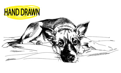 The sad puppy lies. Drawing by hand in vintage style. Children's drawing. A little spotty puppy. Sad eyes. The dog lies.