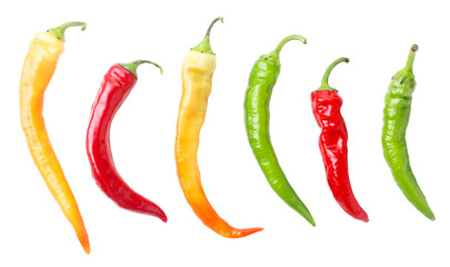 Set of multi-colored bitter peppers on a white background. Isolated