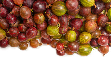 Gooseberry isolated on white background.