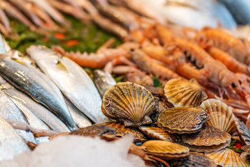 Assorted fresh fish and seafood lying on the ice, on the counter in the store. Close up