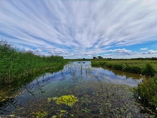 summer landscape with lake in Castricum aan Zee, Netherlands 