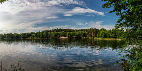 Beautiful lake in the woods with pine trees on the shore for summer vacation. Travel to Ukraine.