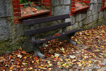 bench against a stone wall with fallen leaves on paving stones