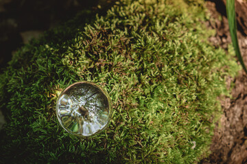 Environment concept, a crystal ball lies on a moss in the forest, reflection of the forest. concept and theme of nature, environmental protection. relaxation. glass material.