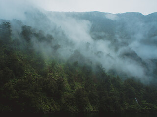 Doubtful / Milford sound - New Zealand #2