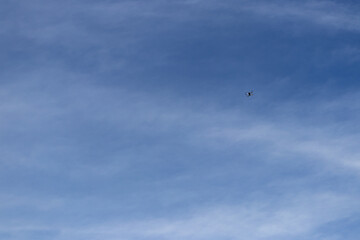 Barely seen drone hovering high on the blue sky. 