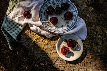 Still life with ripe red cherries in antique bowl on tree stump in forest outdoors