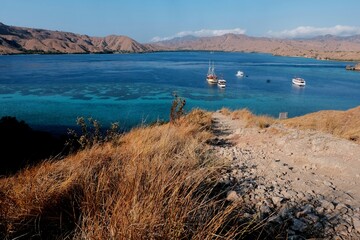 A blue lagoon in the middle of the floressea in indonesia with turquoise water and a coral reef. 
