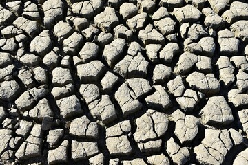 from the sun and drought cracked earth