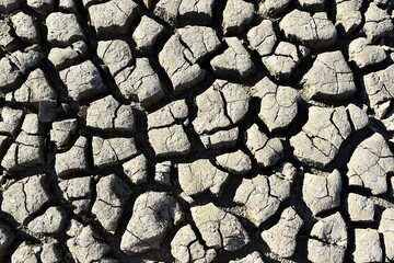 from the sun and drought cracked earth