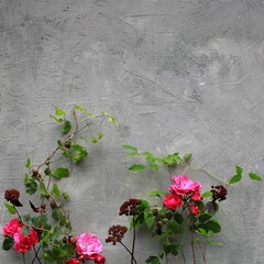 roses on a wall