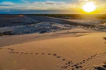 Fototapeta na wymiar Sunrise over Red Sand Dunes in Mui Ne, Vietnam 