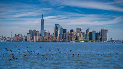 Naklejka premium new york city skyline