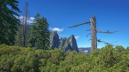 hiking the four mile trail in yosemite national park in california, usa