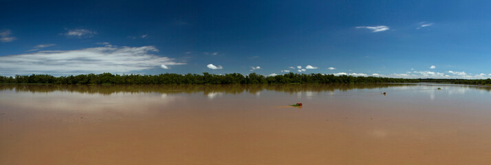wilderness. Panorama view of the wide Amazon river, jungle, coastline and deep blue sky. 