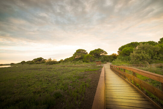 Porto Caleri coastal botanical garden and wild beach, Veneto, Italy. Landscape with wooden path on the right, with copy space.