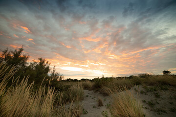 Porto Caleri coastal botanical garden and wild beach, Veneto, Italy. Dramatic sunset.