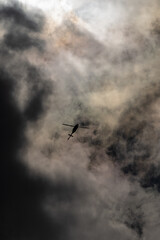 Helicopter in the sky