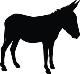 Donkey silhouette