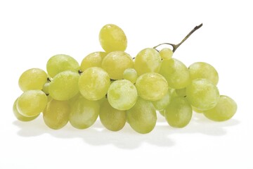 White Grape Cluster