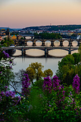 Naklejka premium Vltava river in Prague with several bridges across such as Charles's Bridge and Manesuv bridge.