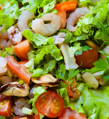 salad. japanese food.