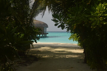 The paradise beaches on The Maldives in the Indian Ocean