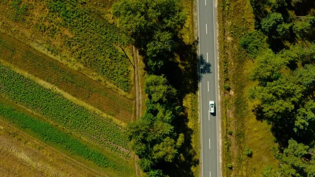 Aerial drone view: White suv car is going on road among big trees. Drone is following to a car which is rides on the road among forest.  Adventuring on the car. Top view onto moving car. .