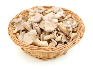oyster mushroom in basket on white background