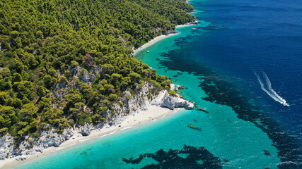 Aerial drone panoramic photo of famous turquoise paradise beach of Hovolo covered with pine trees, Skopelos island, Sporades, Greece