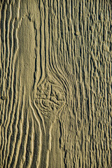 texture of the wall