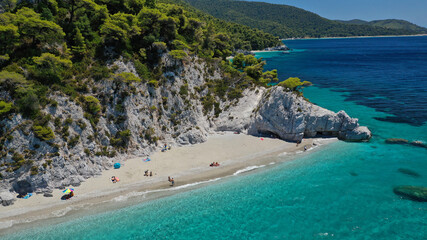 Aerial drone panoramic photo of famous turquoise paradise beach of Hovolo covered with pine trees, Skopelos island, Sporades, Greece