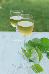Two glasses of white wine with leaves of grape on light background