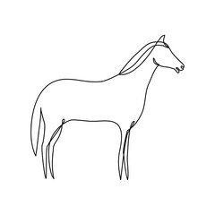 Horse one line drawn vector. Farm animal line icon isolated on white.