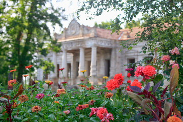 Fototapeta na wymiar Beautiful garden where roses bloom near the old manor
