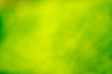 Żółte zielone jaskrawe delikatne nieregularne tło. - obrazy, fototapety, plakaty