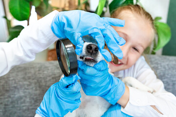 Children 8-9 years old in blue medical gloves examine a teeth of the dog Jack Russell under a magnifying glass. Scientific work on biology, zoology, homework, play. Veterinary clinic, animal dentistry