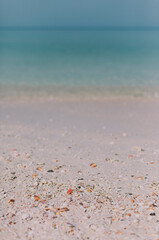 Multi-colored seashells on white sand against the background of the blue sea. 