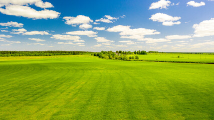 Fototapeta premium summer photo of the sown field against the background of the village