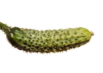 young green cucumbers on white background