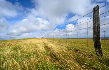 South Downs National Park, Sussex, UK near Firle Beacon. A fence and long grass in the sunshine on the route of the South Downs Way. The South Downs Way is a national trail popular with walkers.